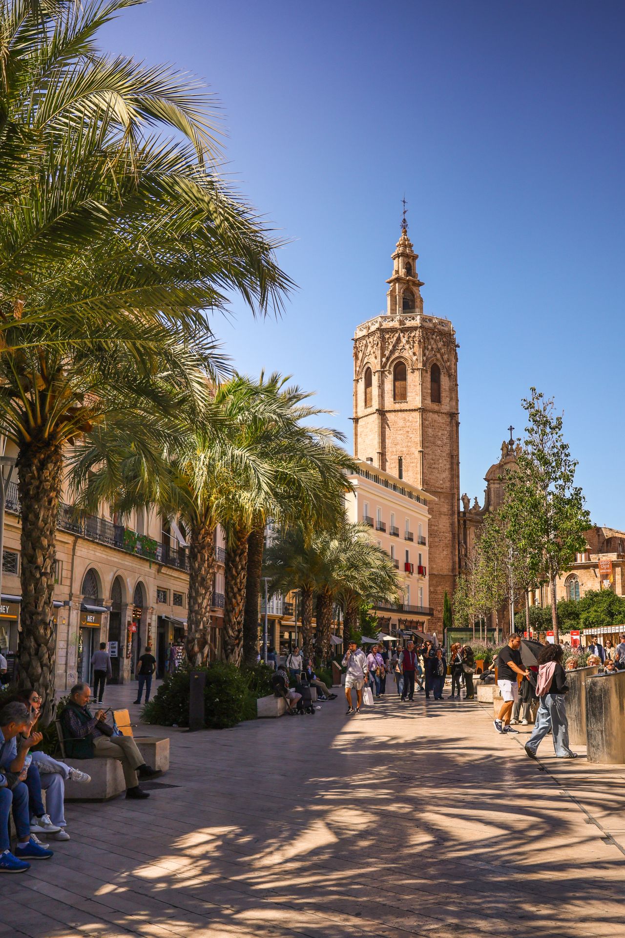 Sunny city square with palm trees and a cathedral bell tower